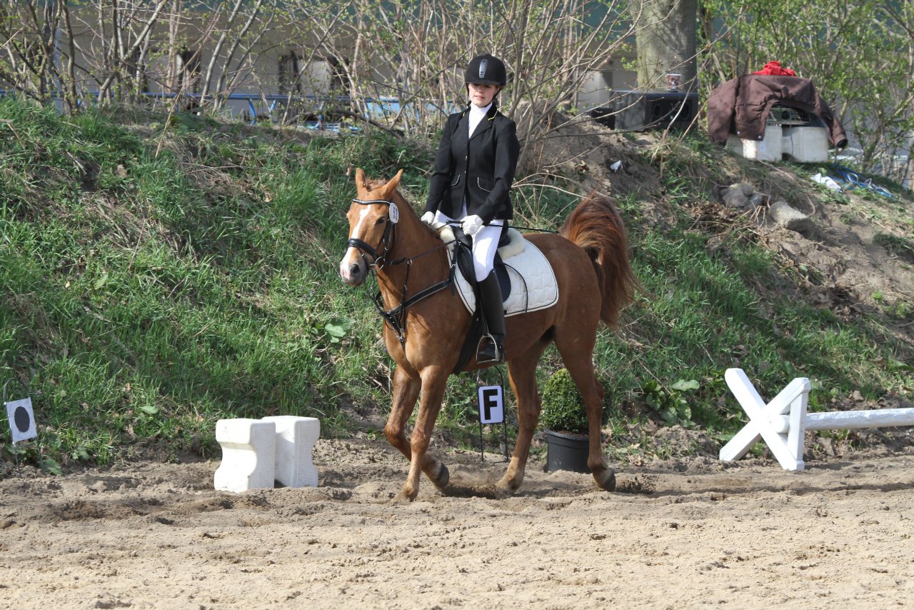 Bild 928 - WBO-Turnier am 9.4.11